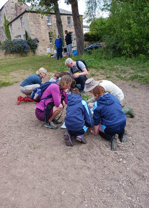 Children gathered around trays looking at invertabrates, being shown an ID chart.